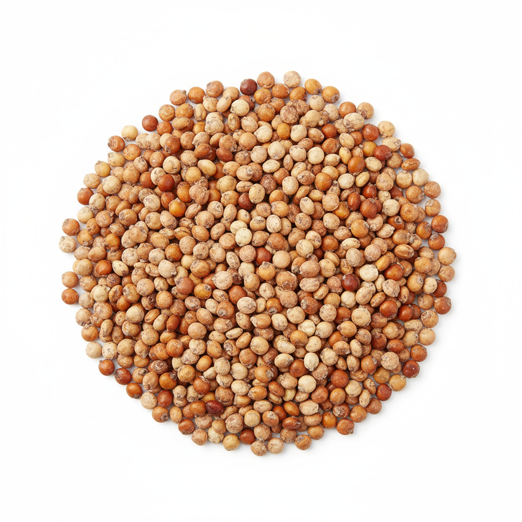 Jowar (Sorghum)