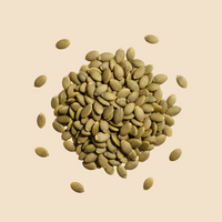 Pumpkin Seeds
