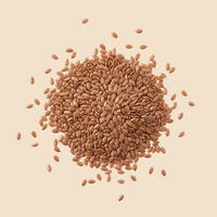 Flax Seeds