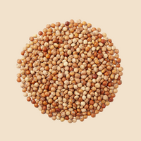 Jowar Flour