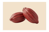Cocoa Powder