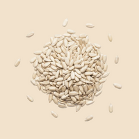 Sunflower Seeds